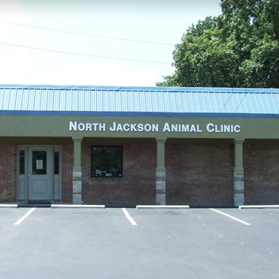 Vet in Stevenson, AL | North Jackson Animal Clinic | North Jackson Animal  Clinic